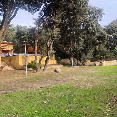 Chalet Con Piscina Vistas Y Salida A Parque Natural 埃斯科里亚尔 外观 照片